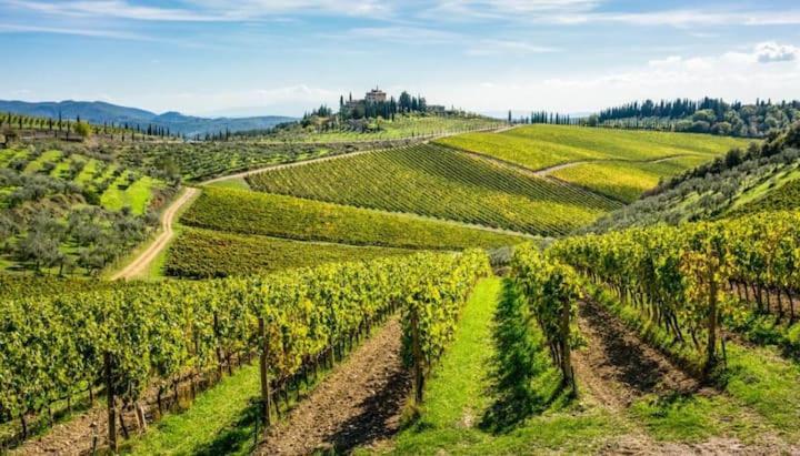 Laura Chianti Vacanze Poggibonsi Luaran gambar